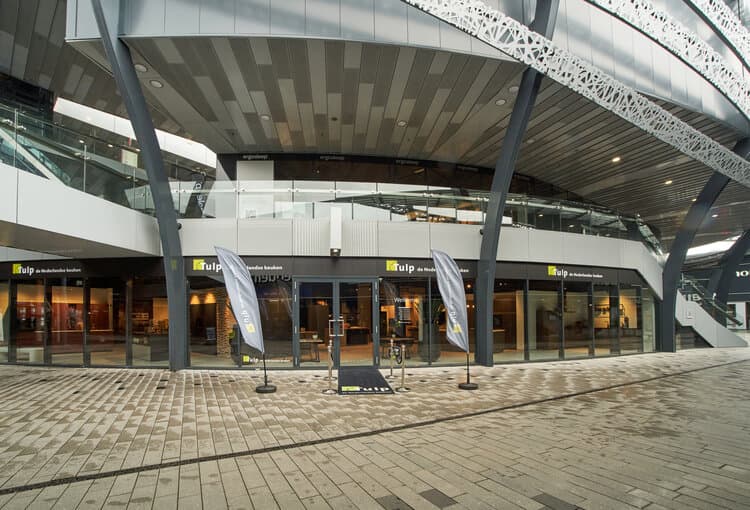 Tulp-vestiging-Son-mobiel